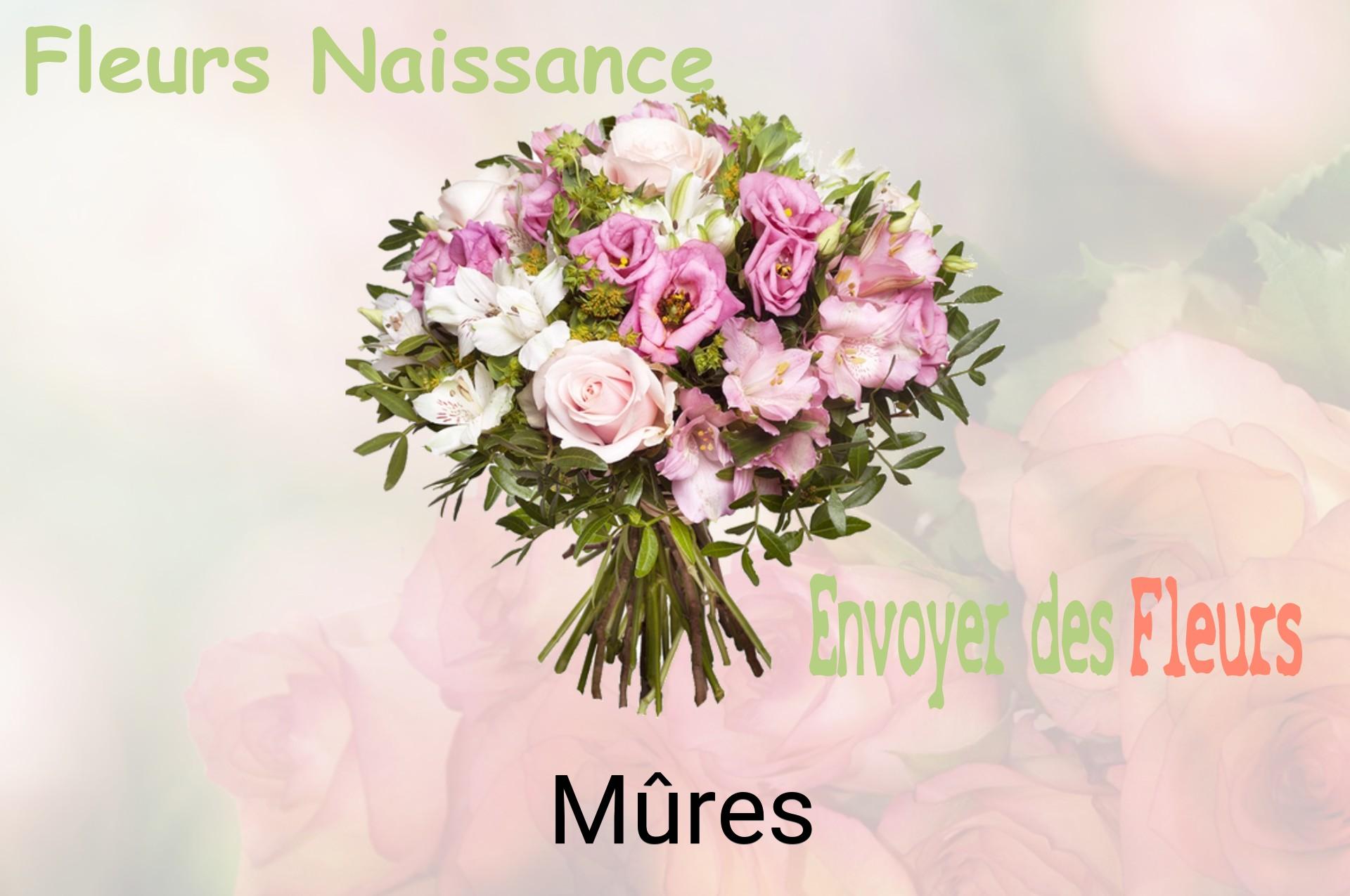 Bouquet de fleurs de naissance livré à Mûres